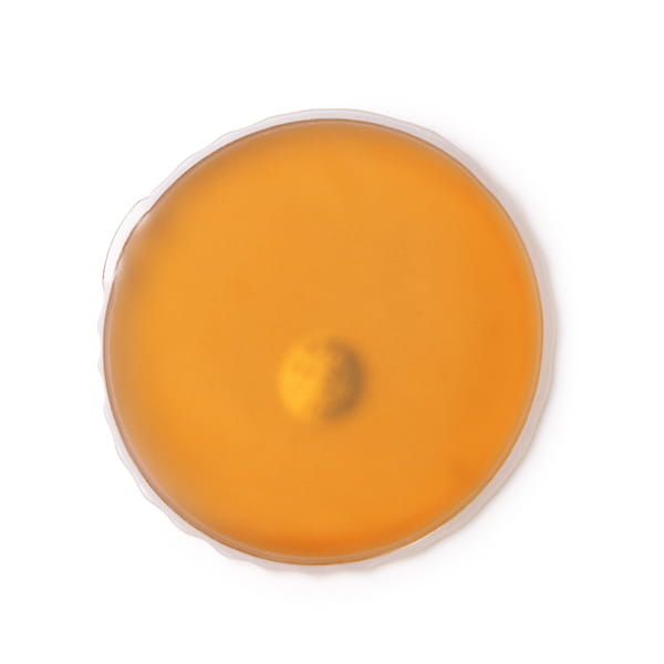 1850_31_2_1.jpg